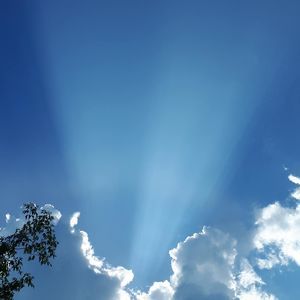 Meet your Posher, Salvareen